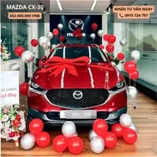Hoạt động tư vấn và giao xe Mazda tại Hà Nội 6